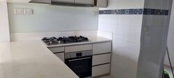 The Trizon (D10), Condominium #574593141